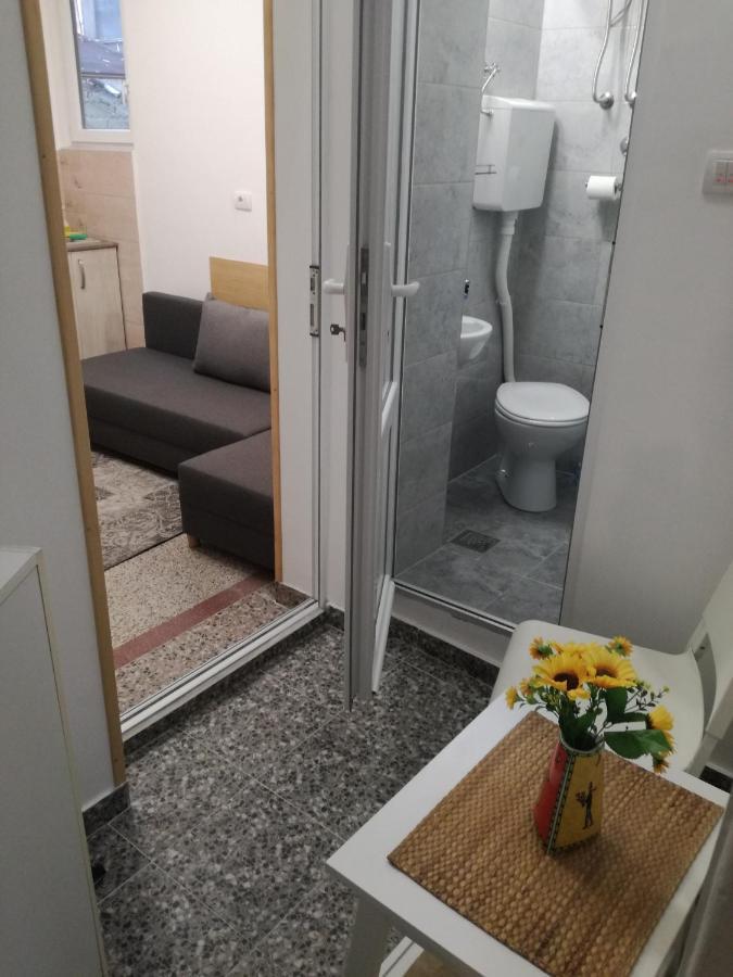 Appartement Mini Studio - One Traveler à Belgrade Extérieur photo